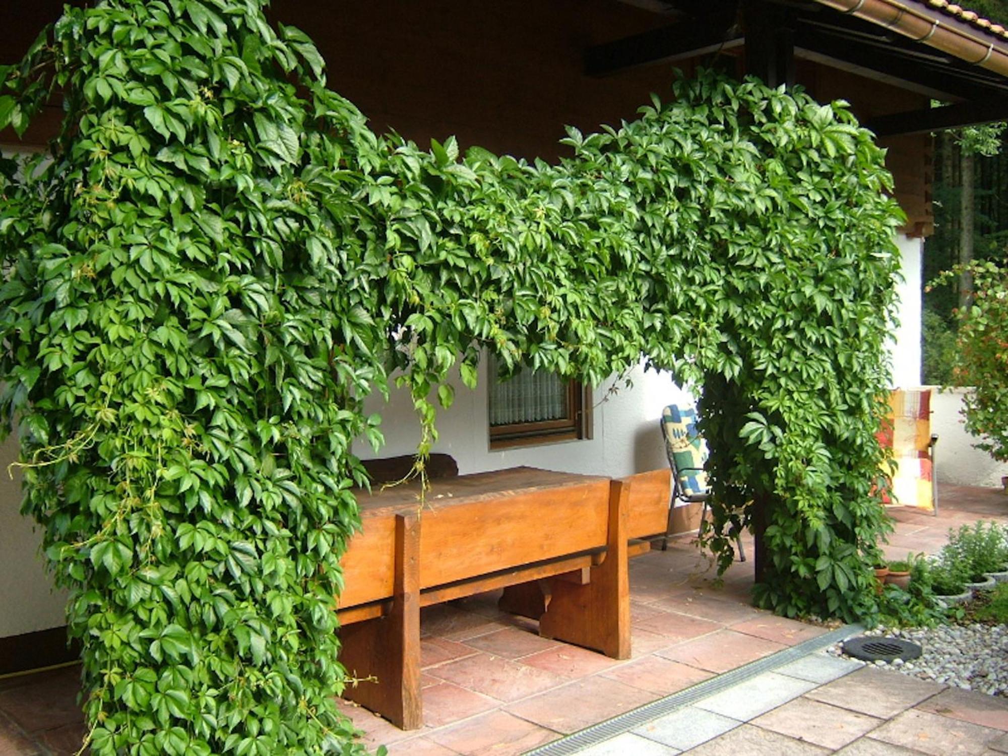 Haus Mayerbuechler - Chiemgau Karte Inzell Exterior photo